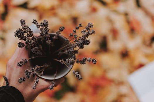 person enjoying herbal tea